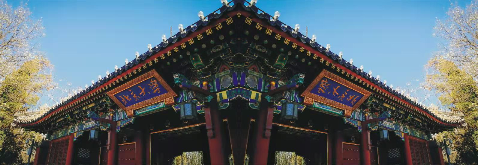 组织架构