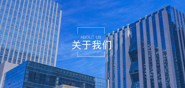 发展历程